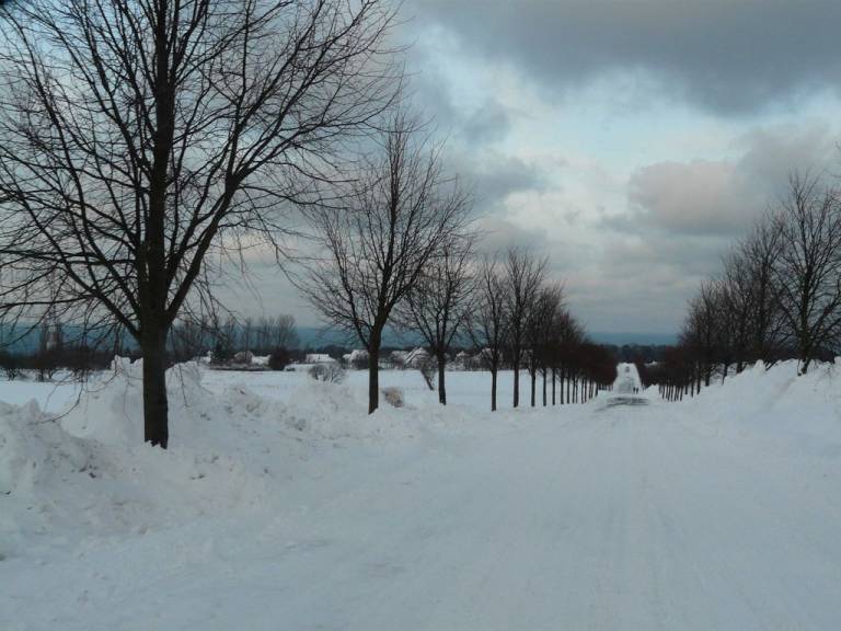 foto43