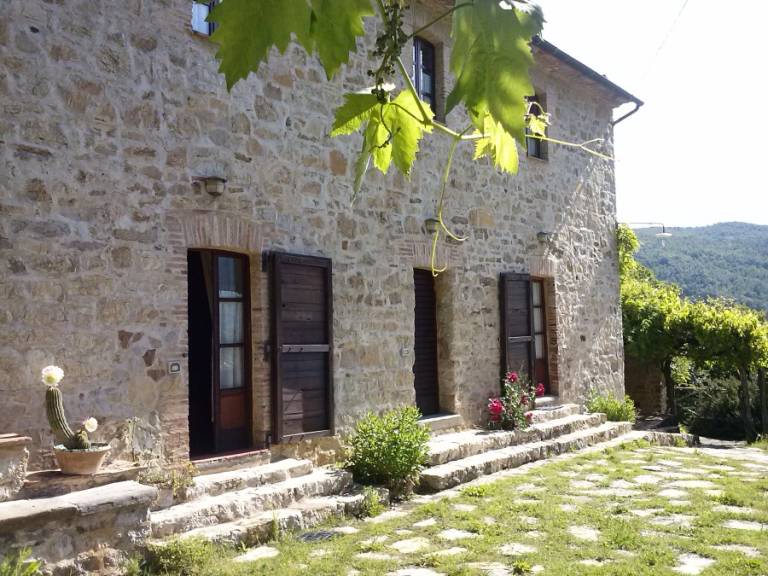 foto19