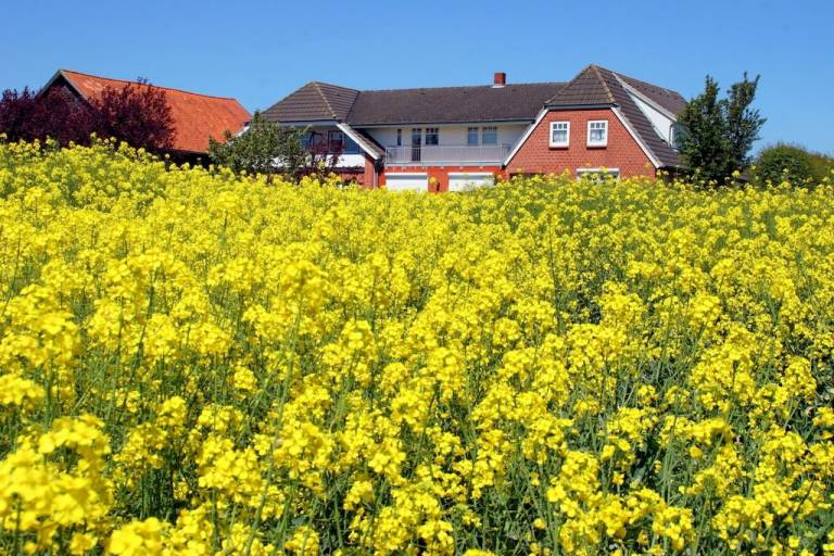 Ferienwohnung Kraksdorf