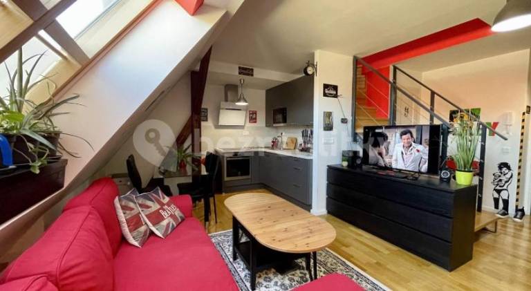 Holiday apartment | Pets are welcome — photo 2