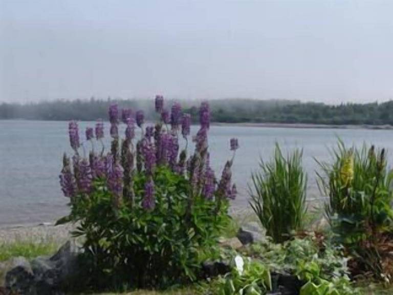 House  Chance Harbour