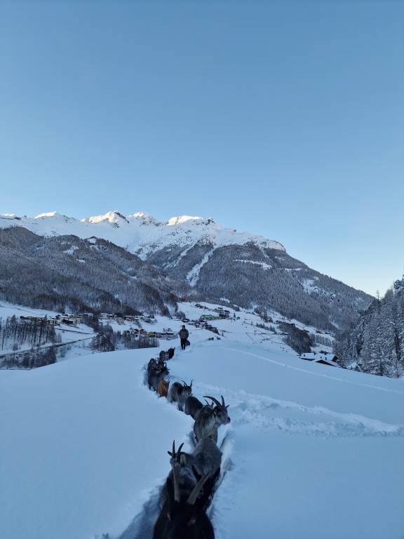 Family-oriented charming holiday apartment with barbeque, sauna & yard | Garden view | Ski nearby | Dogs allowed — photo 5