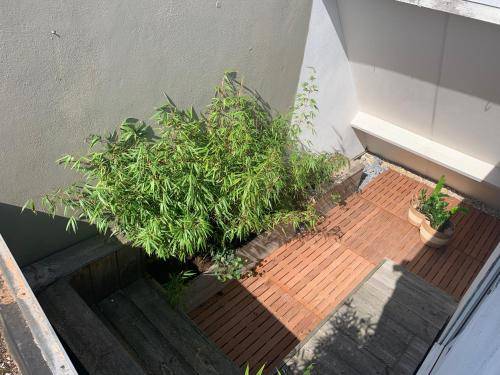 foto12