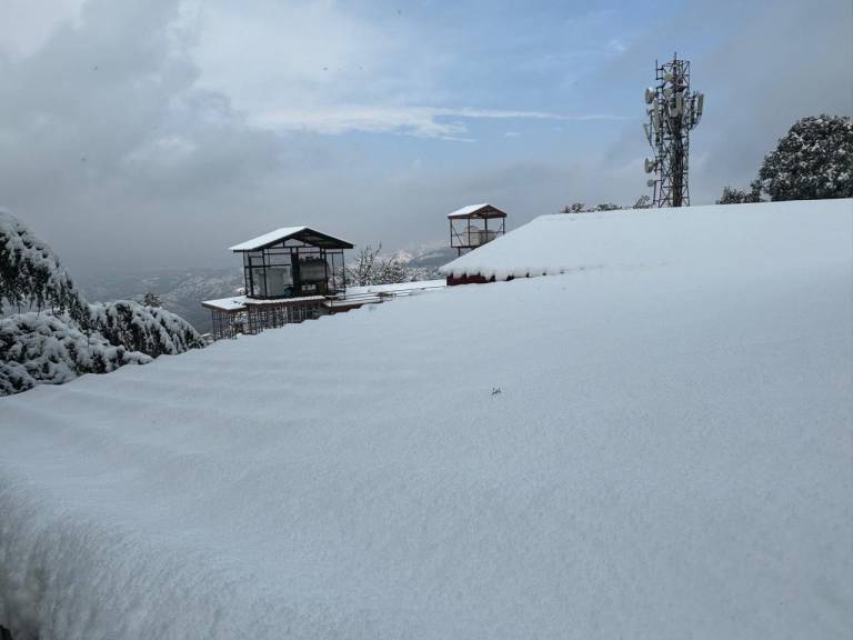 Hotel Jakhu Heights — photo 4