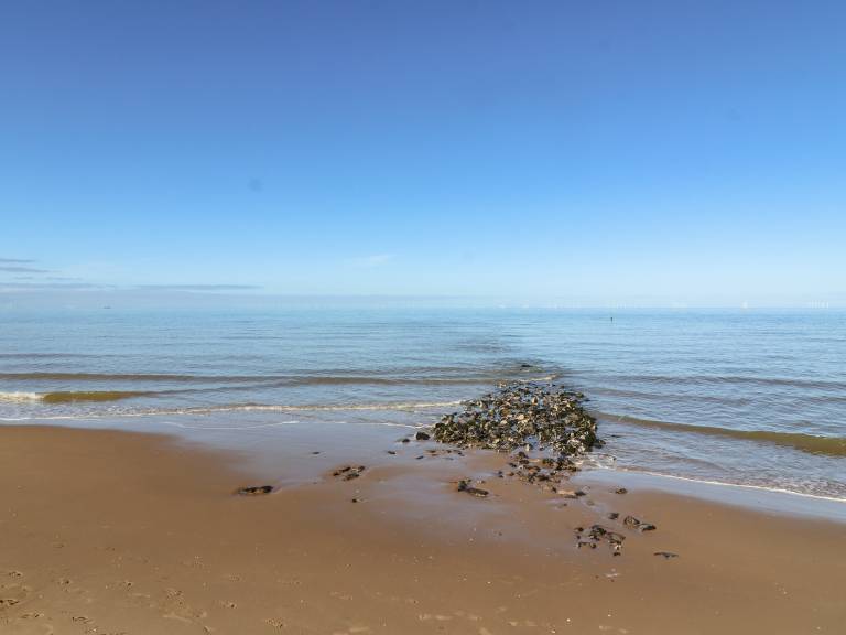 foto41