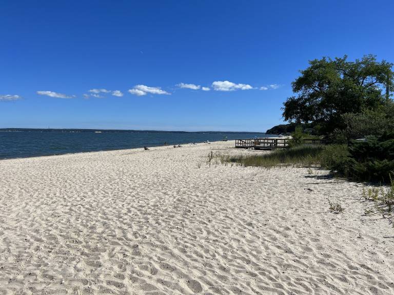 Cottage North Fork