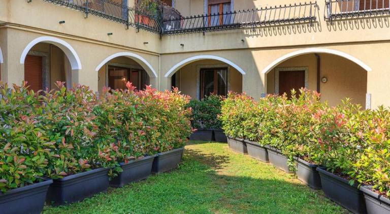 Apartment with patio & yard — photo 4
