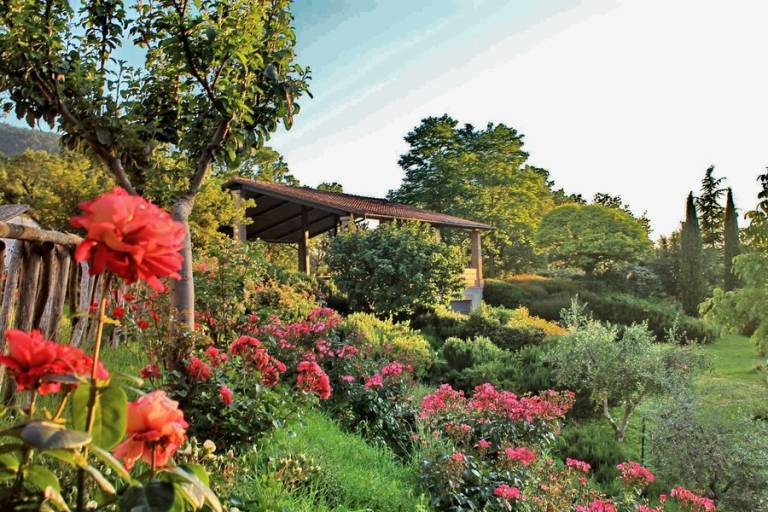 Privatzimmer  Assisi