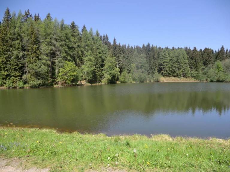 foto26