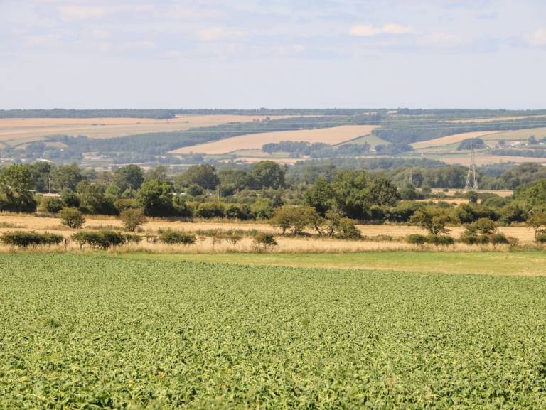 Cottage Sherburn