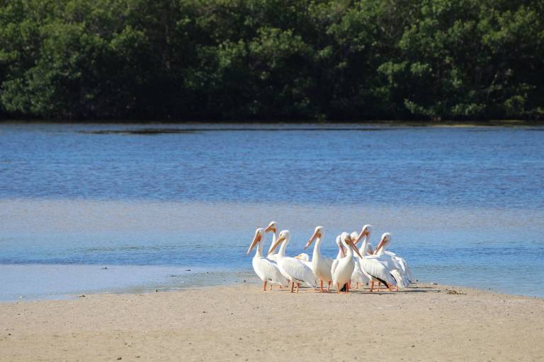 foto33