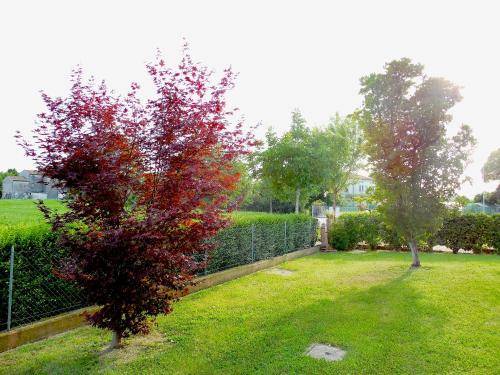 foto19