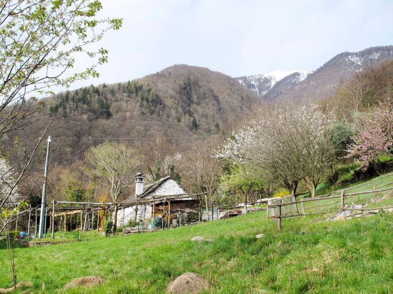 Maison de vacances Domodossola