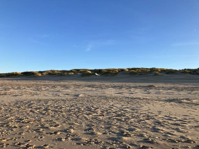 foto37