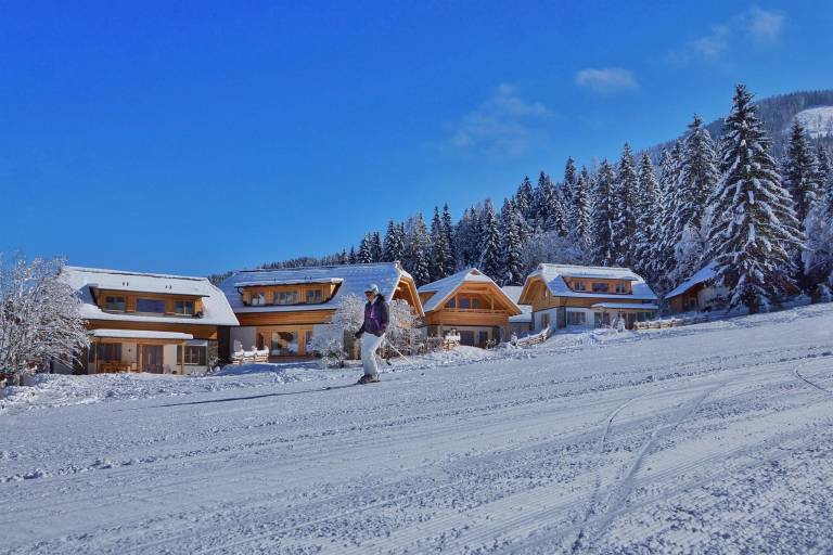 Rental apartment with garden, patio & sauna in Bad Kleinkirchheim