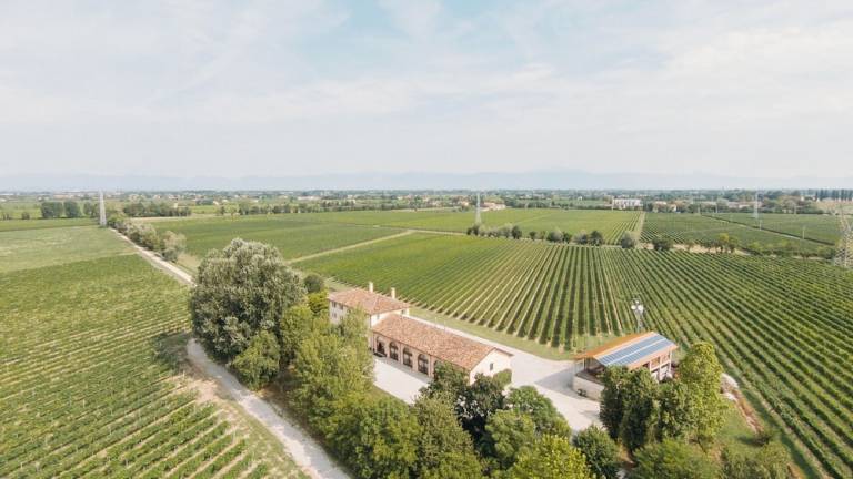 Agriturismo Noventa di Piave