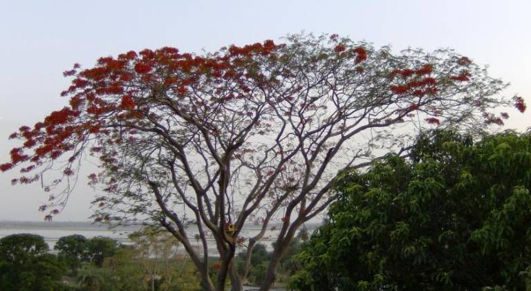 foto6