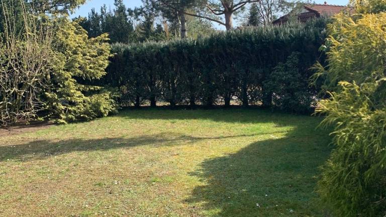foto24
