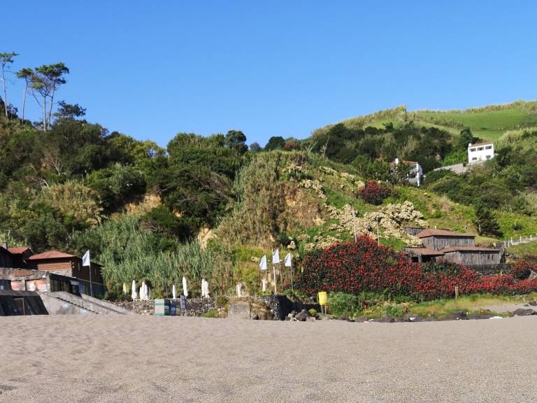 foto21