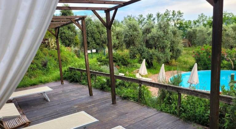 Beautiful farm with barbecue, patio & private pool | Dogs allowed — photo 4