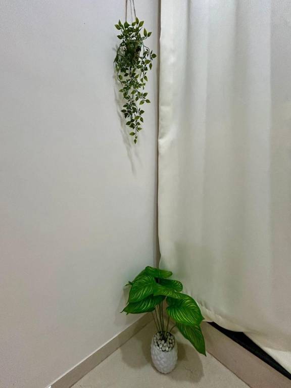foto20