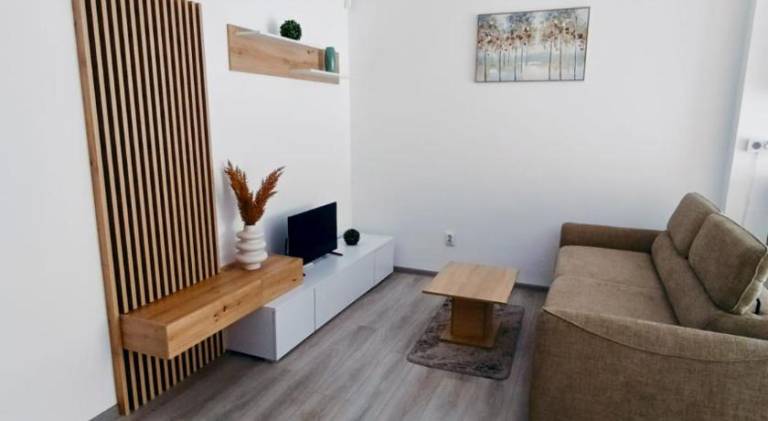 Holiday apartment | Pets are welcome in Sibiu