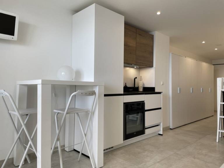 Studio flat Cannes