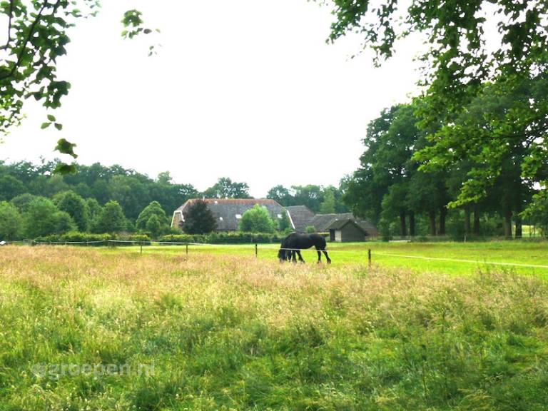 Vakantieboerderij Woudenberg