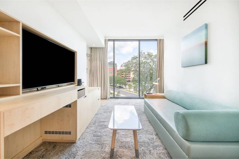 City View Suite — photo 2