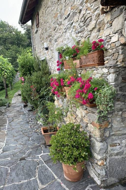 Fully equipped vacation home with terrace & grill | Nature view | Dogs allowed — photo 3