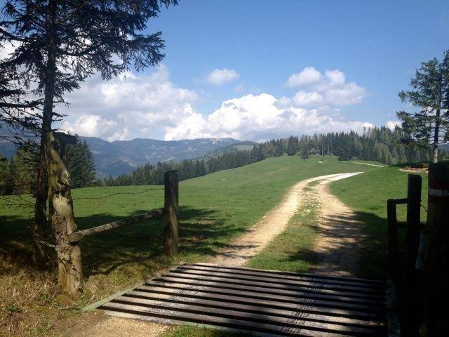 Ferienhaus mit Hund in Wolfsberg, Klippitztörl für max. 12 Personen Ferienhaus mit Hund in Wolfsberg, Klippitztörl für max. 12 Personen