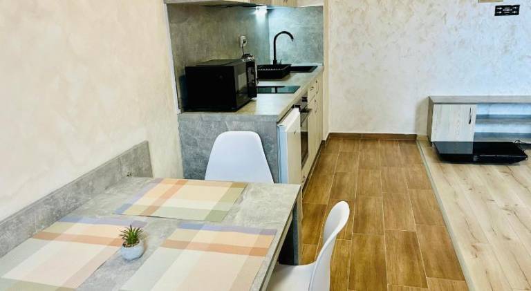 Apartment with terrace — photo 5