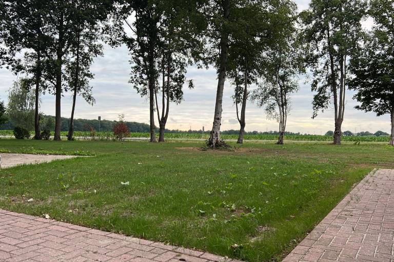 foto21