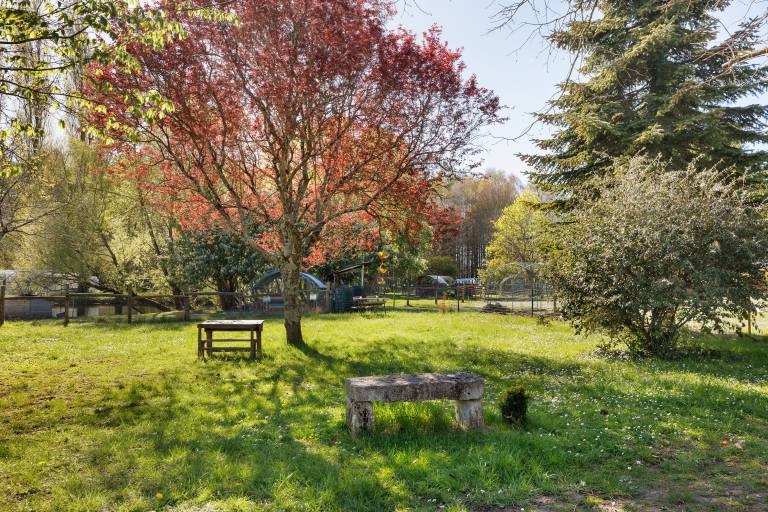 House with grill, terrace & yard | Garden view — photo 4