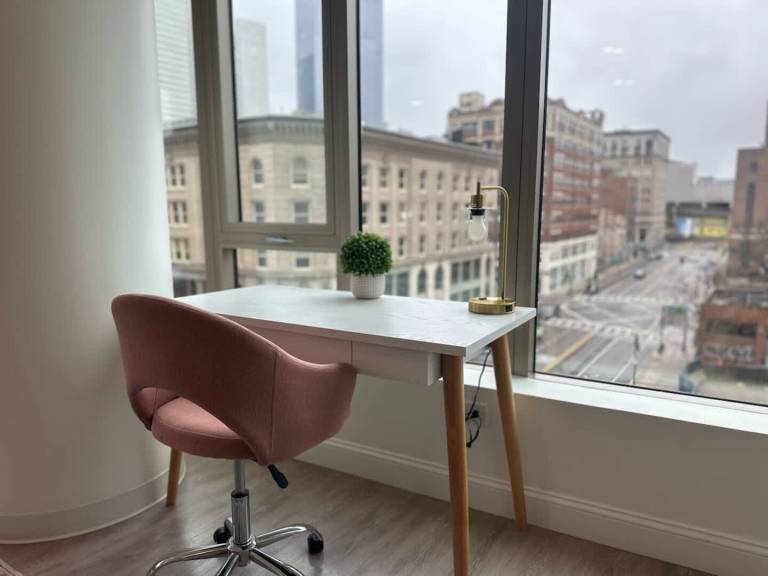 Upscale Central 2BR Condo with Gym & Parking near Boston Common, MGH & — photo 5