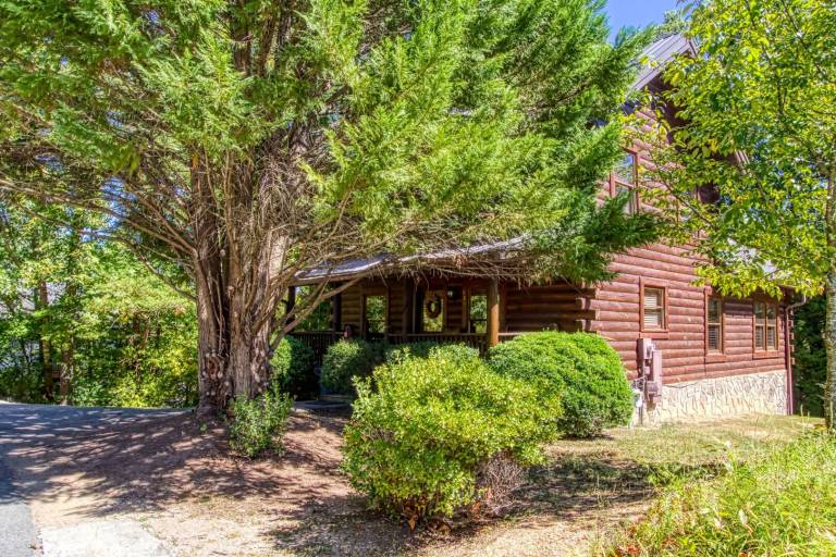 Family-oriented cabin with private pool & terrace | Pets allowed — photo 2