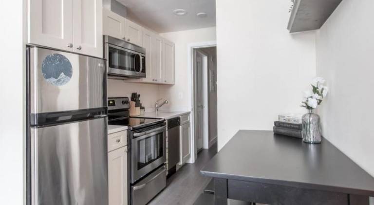 Pleasant apartment | Near Faneuil Hall | Good for workation | Dogs allowed — photo 5