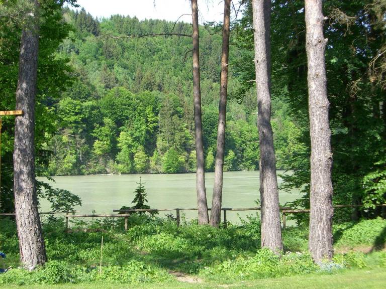 foto11