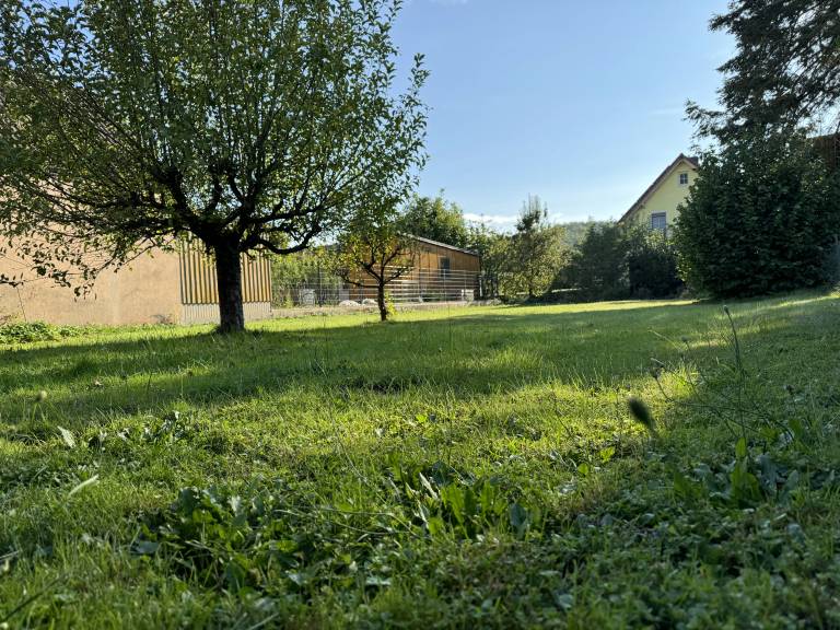 foto11
