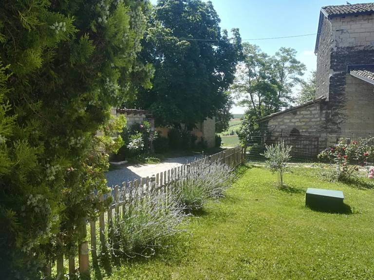 foto19