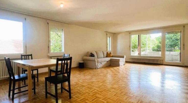 Large Flats, Zurich Lake HWA - Self Checkin — photo 3