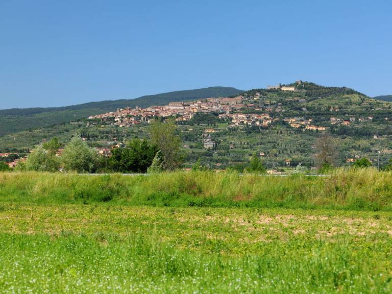 foto7