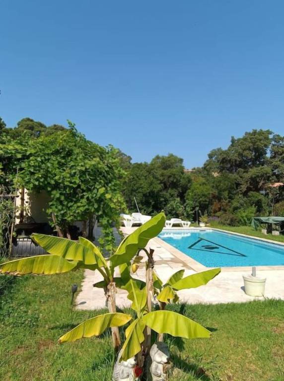 Appartement Zonza