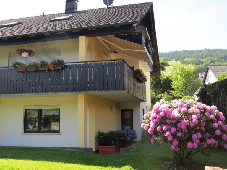 foto12
