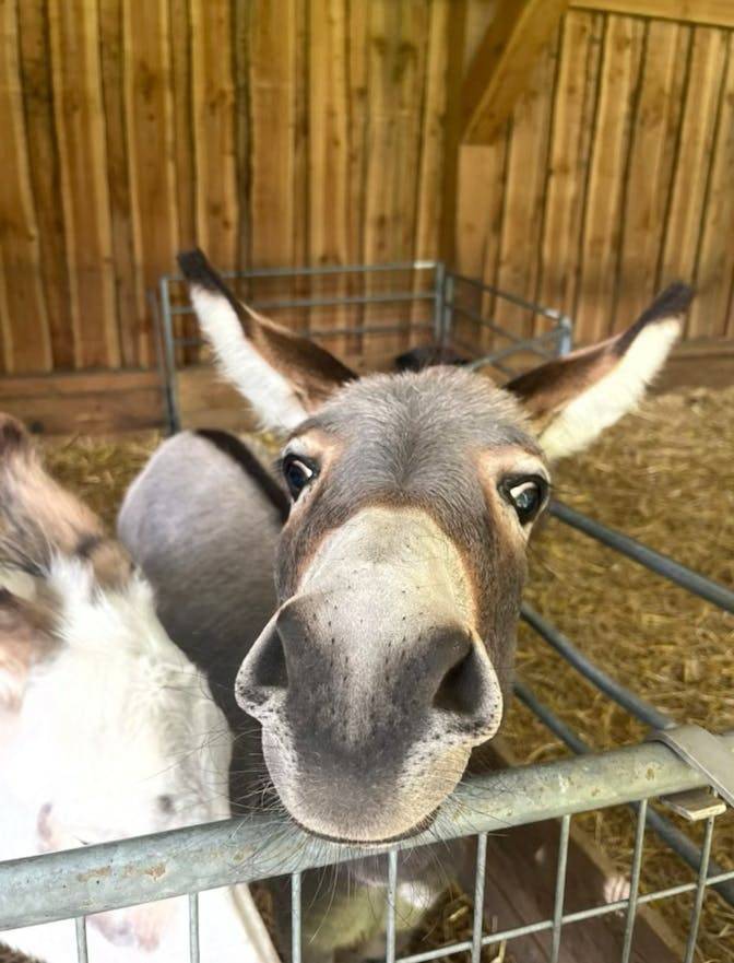 Privatzimmer Maastricht