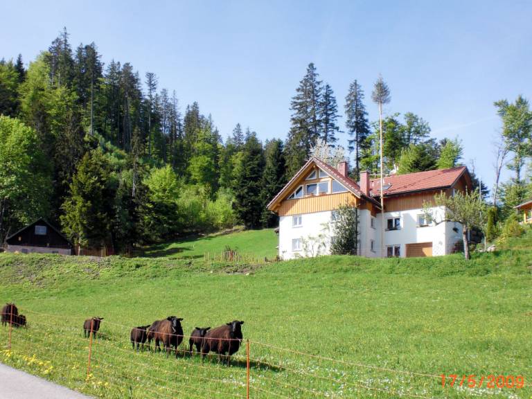 foto13