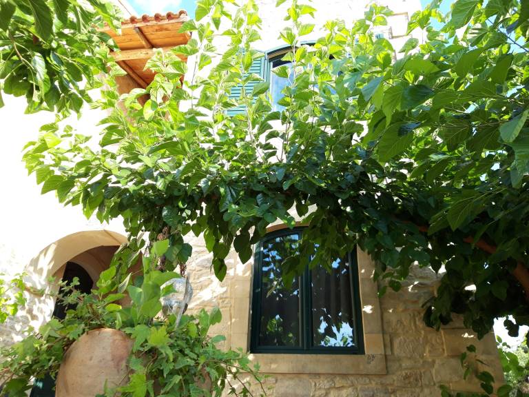 Country House 'Vila Aloni' with Private Terrace, Wi-Fi and Air Conditioning — photo 5