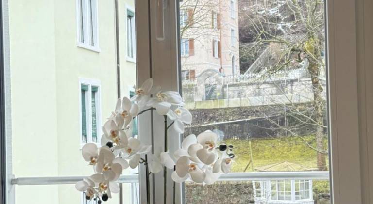 Pleasant holiday apartment | Pets are welcome — photo 4