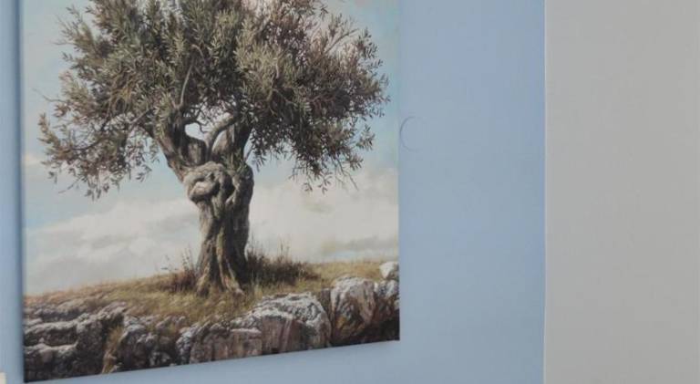 foto19
