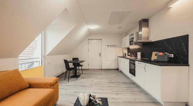 Rental apartment with terrace in Achern